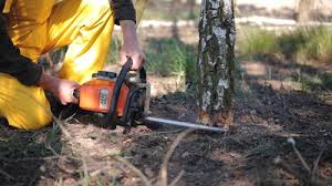 Lawn Grading and Leveling in Madison Heights, MI